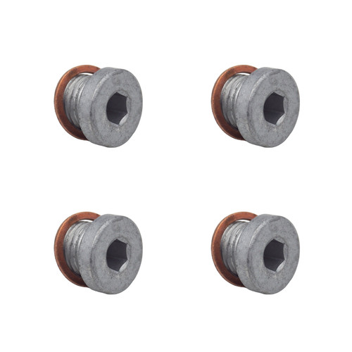 You oil bolt m10 x - bolt, 1.0