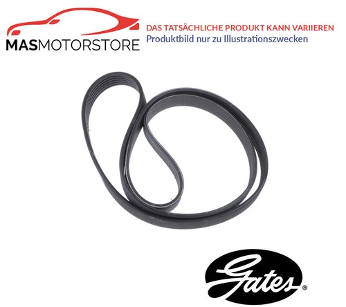 Belt ribbed - v-ribbed, gates