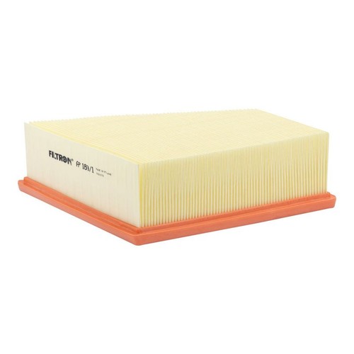 Air filter filtron 189 - filter, 189/1