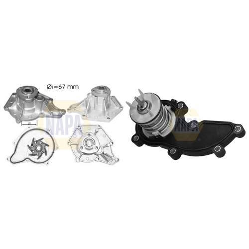 Napa water pump thermostat - pump,
