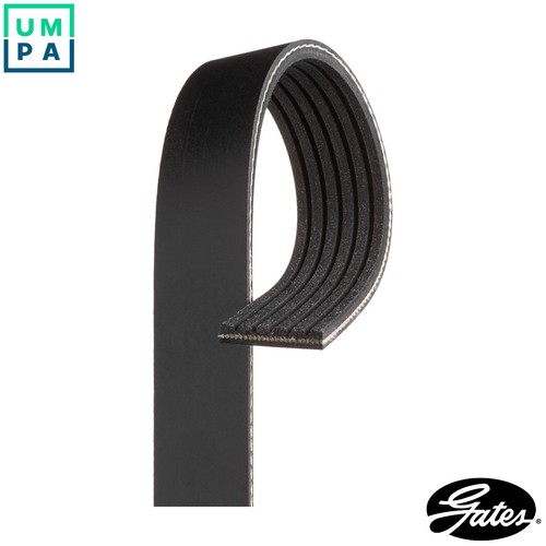 Vribbed belt 6pk1441est - vribbed,