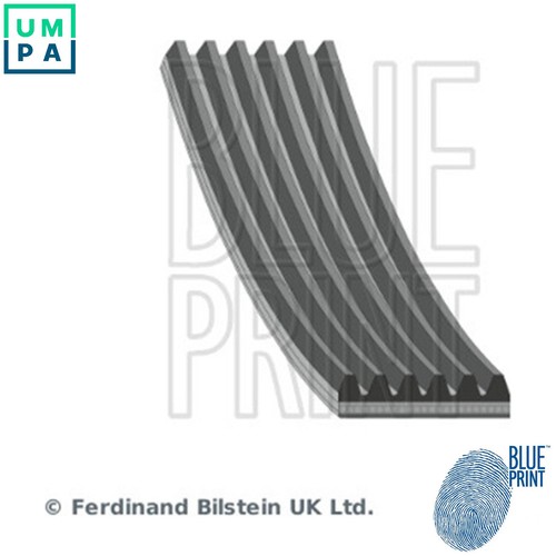 Vribbed belt ad06r1795 for - ad06r1795,